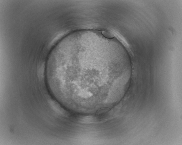 X0000115390058200911241254