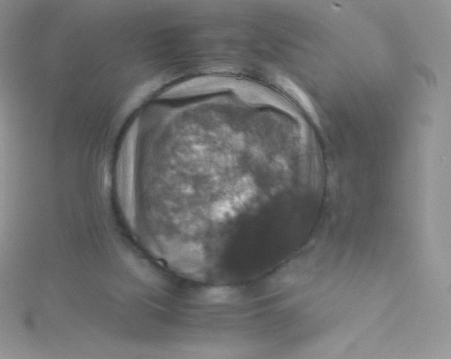 X0000115390059200911241254