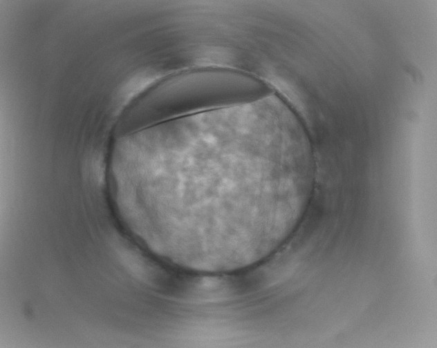 X0000115390060200911241254