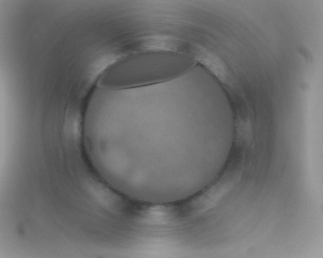 X0000115390064200911241254