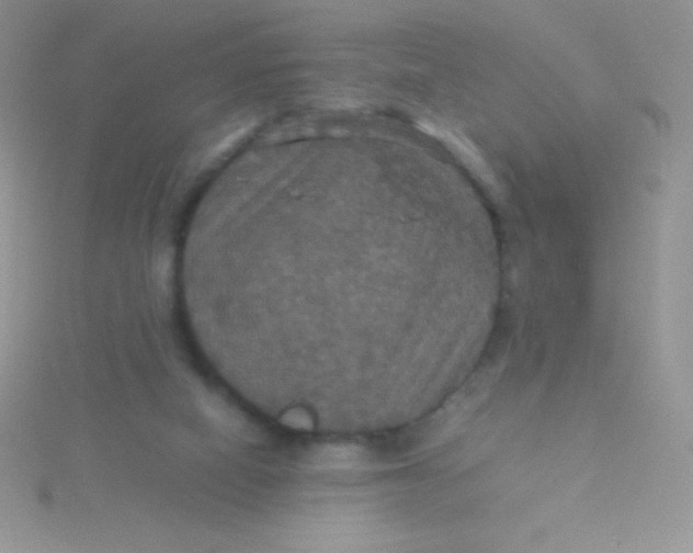 X0000115390066200911241254