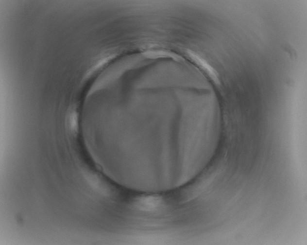 X0000115390067200911241254