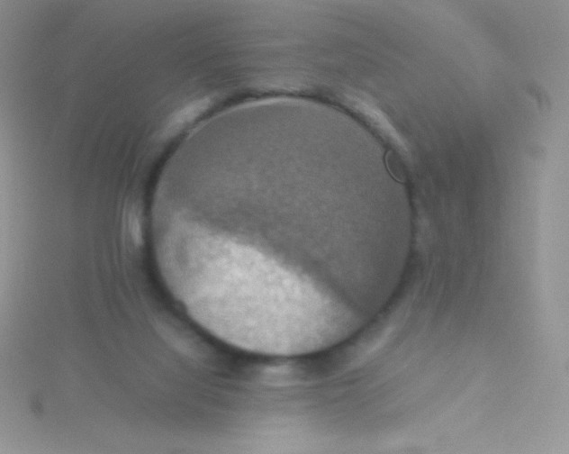 X0000115390068200911241254