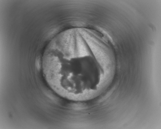 X0000115390069200911241254