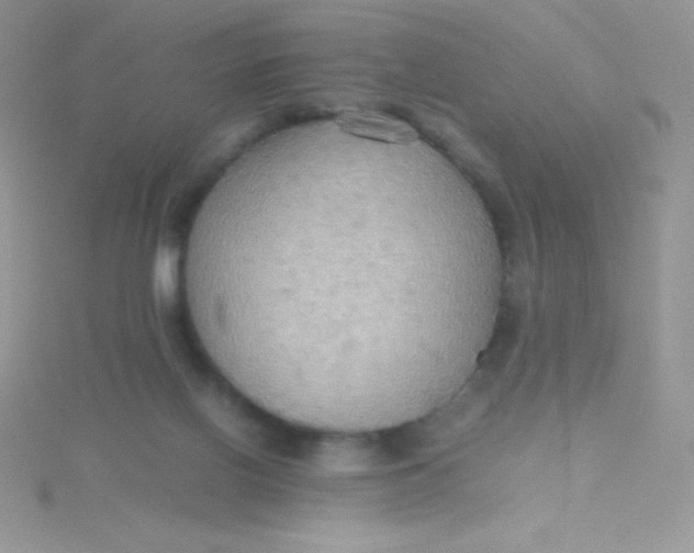 X0000115390070200911241254