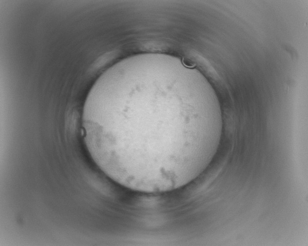 X0000115390071200911241254