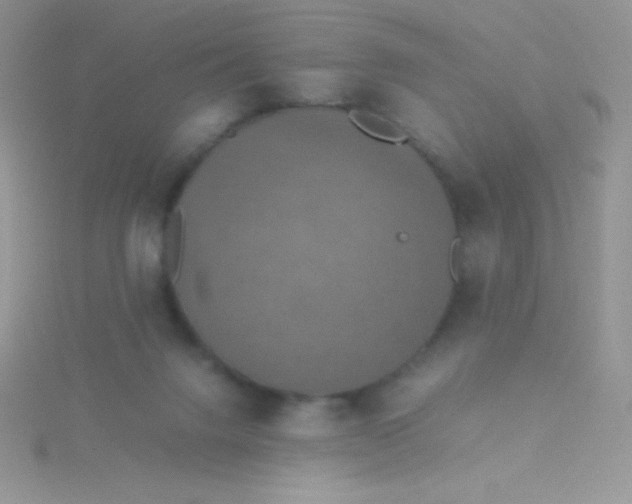 X0000115390072200911241255