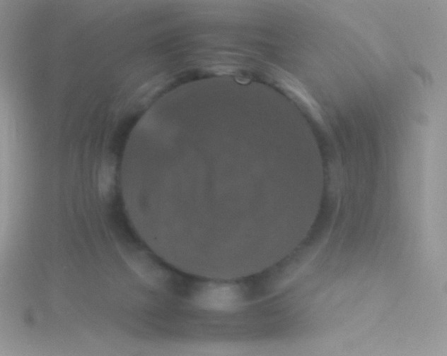 X0000115390073200911241255