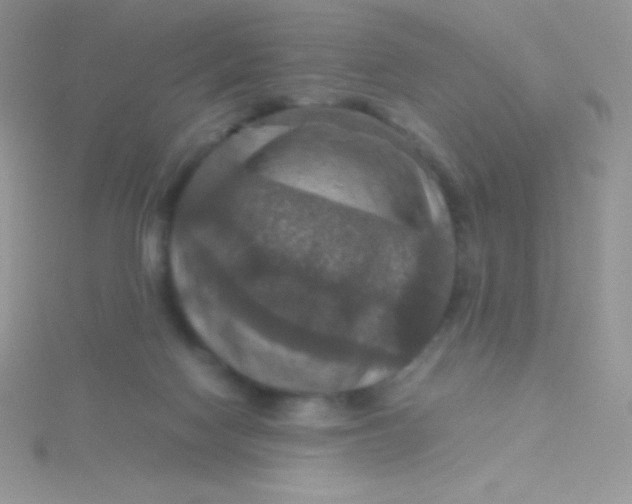 X0000115390074200911241255