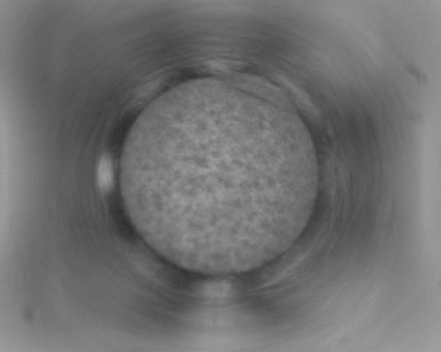 X0000115390075200911241255