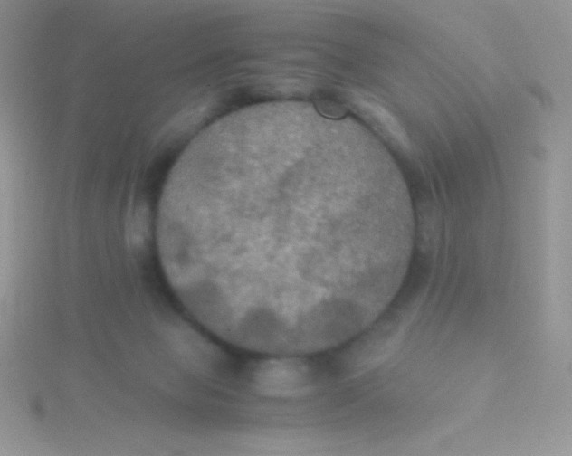 X0000115390077200911241255