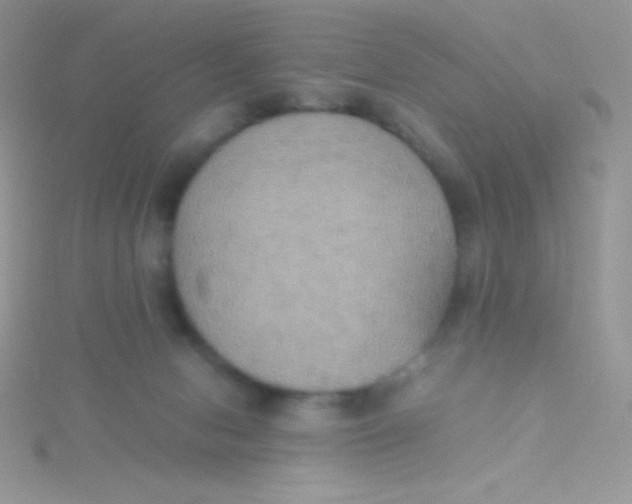 X0000115390078200911241255