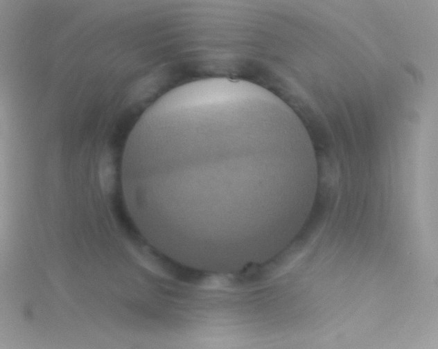 X0000115390080200911241255