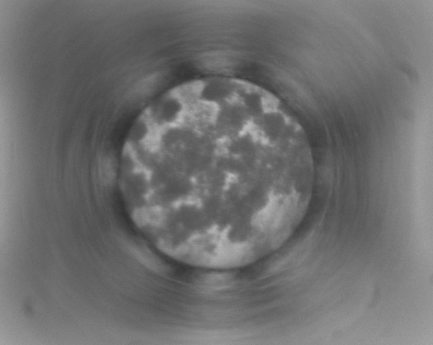 X0000115390081200911241255