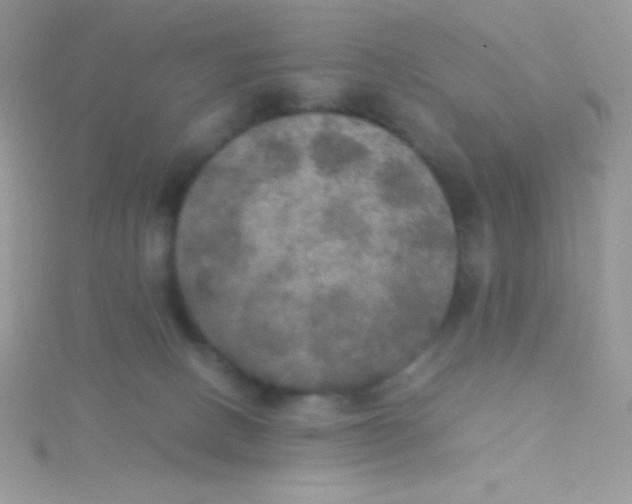 X0000115390082200911241255