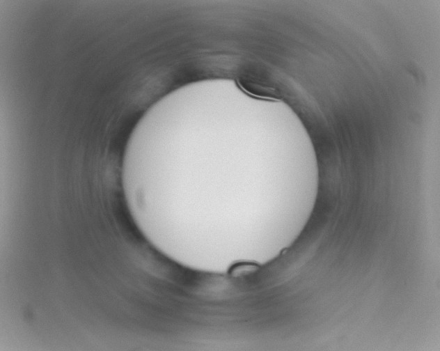 X0000115390083200911241255