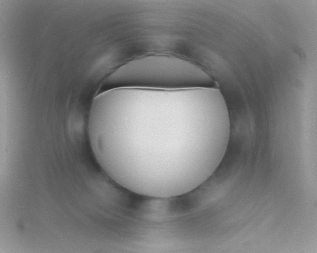 X0000115390084200911241255