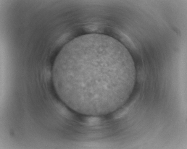 X0000115390085200911241255