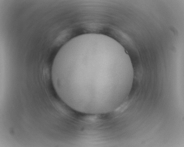 X0000115390086200911241255