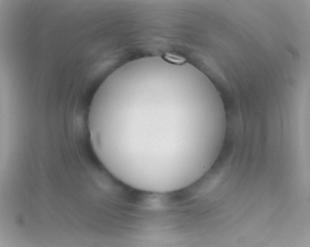 X0000115390088200911241255