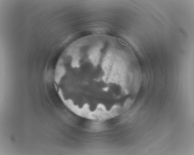 X0000115390093200911241255