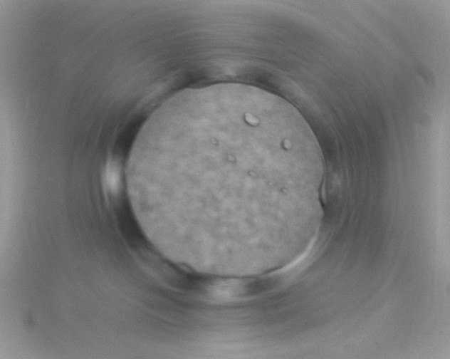 X0000115390094200911241255