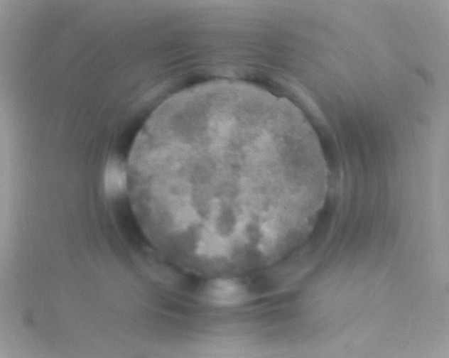 X0000115390095200911241255