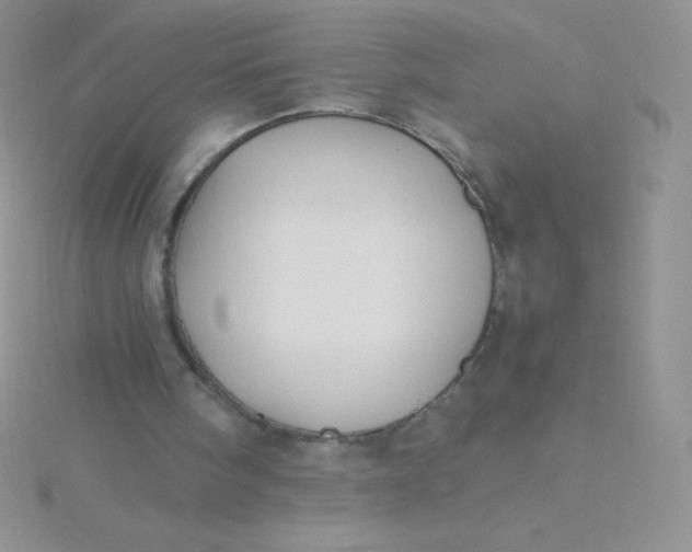 X0000115390098200911241254