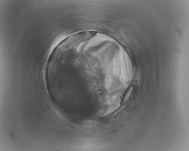 X0000115390099200911241254