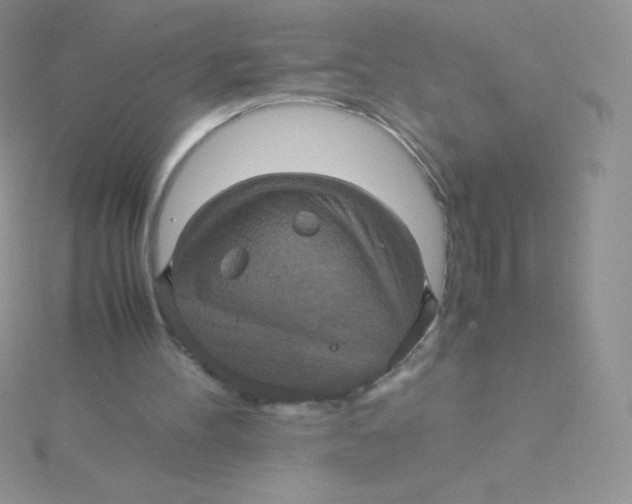 X0000115390100200911241254