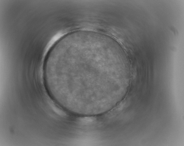 X0000115390102200911241254