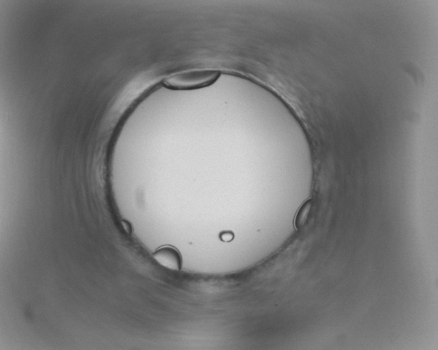 X0000115390103200911241254