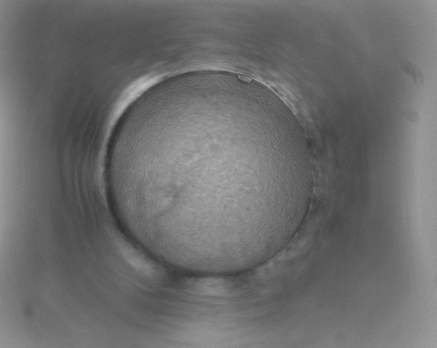 X0000115390104200911241254