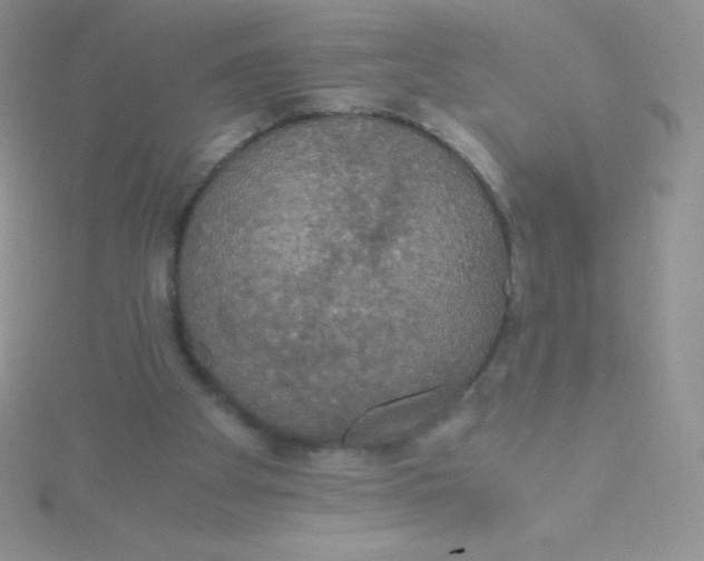 X0000115390105200911241254