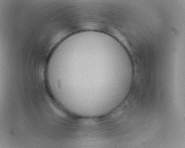 X0000115390106200911241254