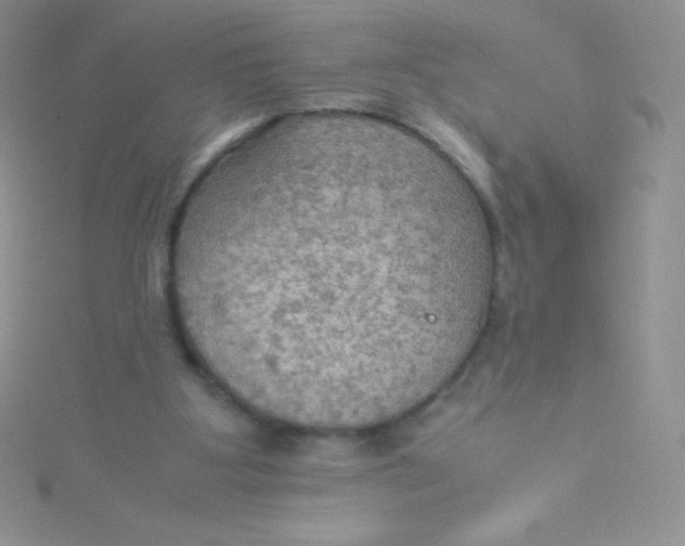 X0000115390107200911241254