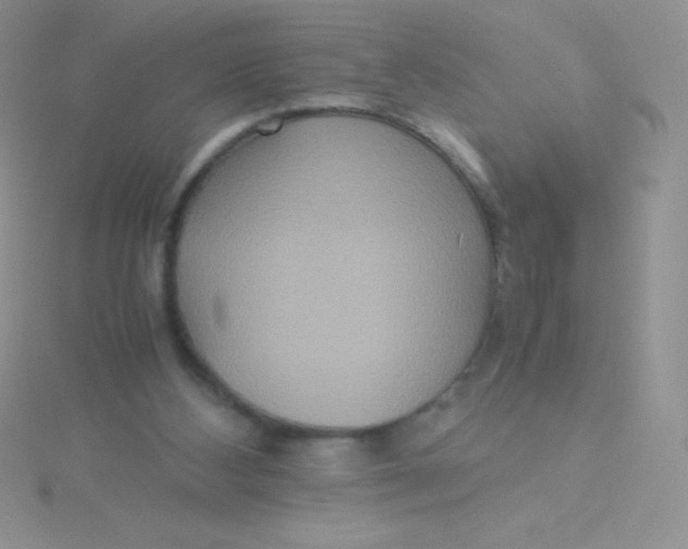 X0000115390108200911241254