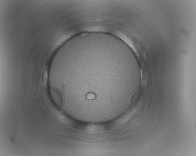 X0000115390109200911241254