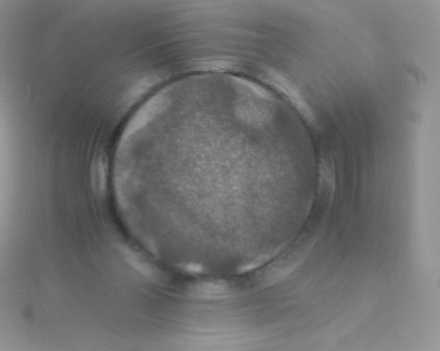 X0000115390110200911241254