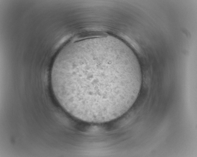 X0000115390111200911241254