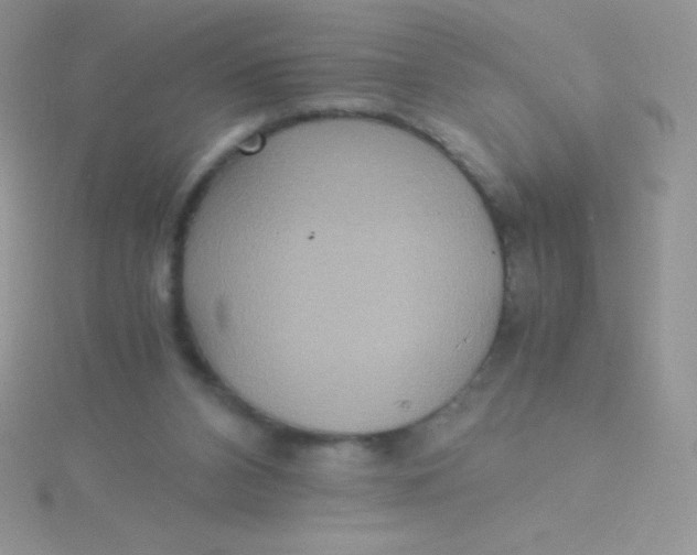 X0000115390112200911241254