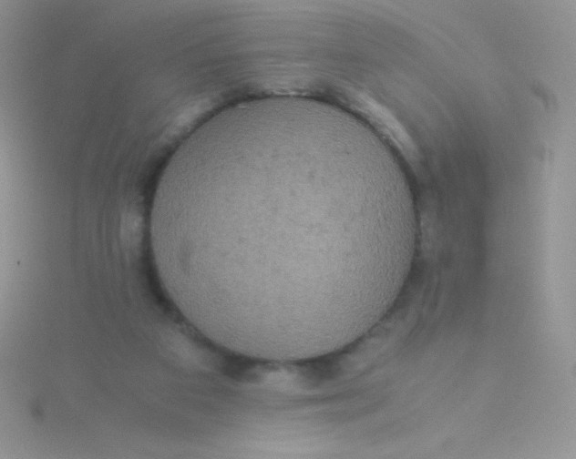 X0000115390113200911241254