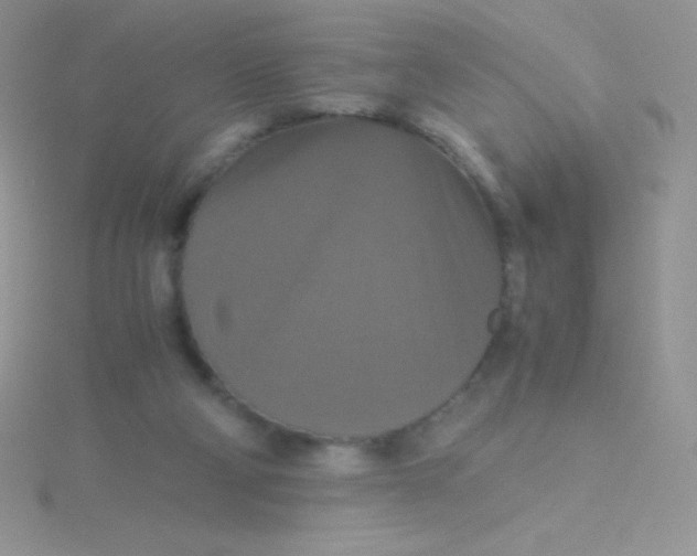 X0000115390114200911241254