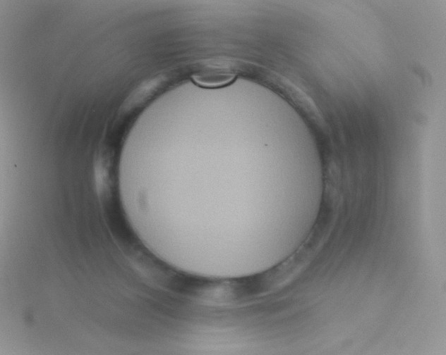 X0000115390116200911241254