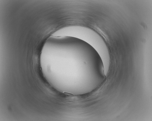 X0000115390117200911241254