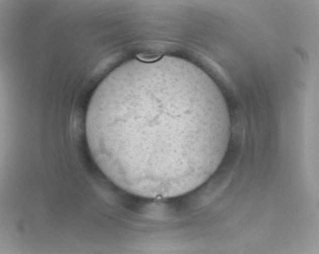 X0000115390119200911241254