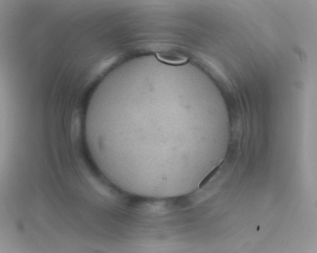 X0000115390120200911241254