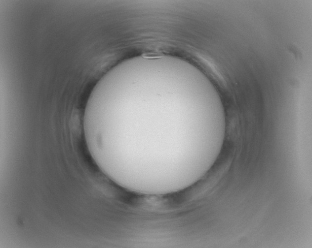 X0000115390121200911241254