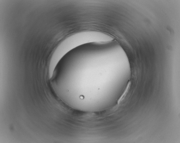 X0000115390124200911241254