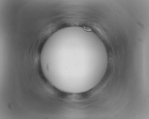 X0000115390125200911241254